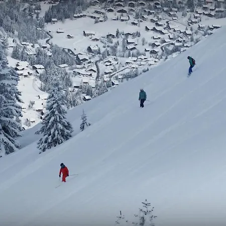 Chalet Beauvoir 12 - Ovo Network Chalet Saint-Jean-de-Sixt
