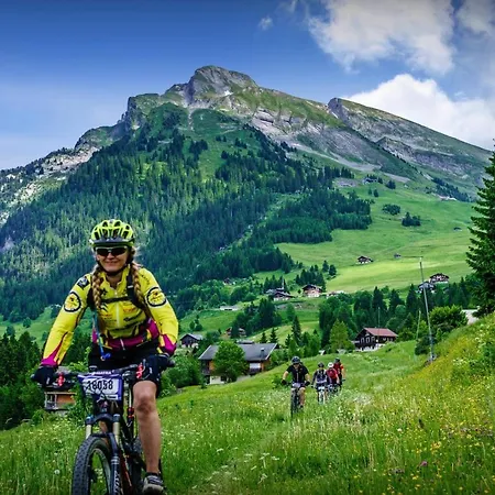 Chalet Chalet Beauvoir 12 - Ovo Network Saint-Jean-de-Sixt